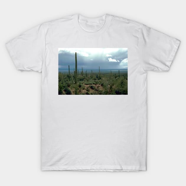 Arizona Desert with Cactus Photograph T-Shirt by Bravuramedia